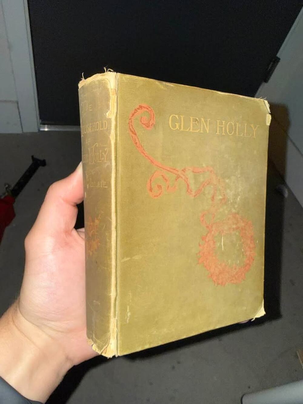 The Household of Glen Holly by Lucy C. Lillie (1888)